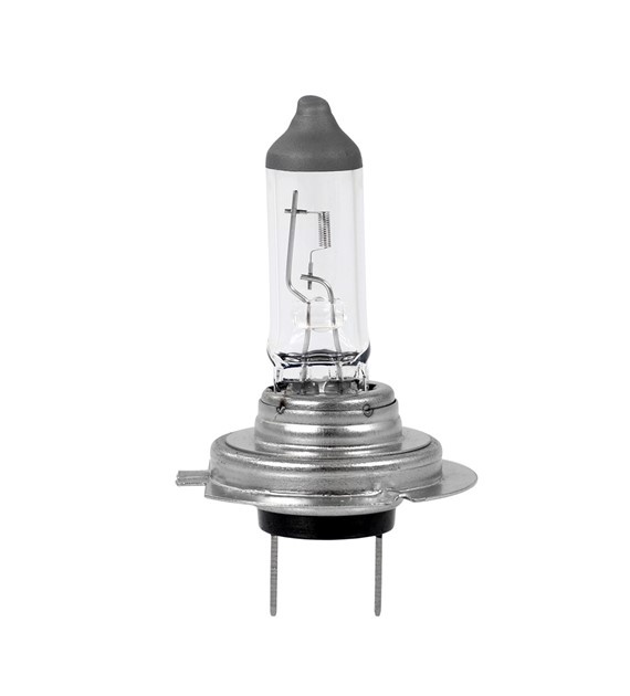 Ampoule halogène H7 PX26d 55W 12V